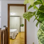 Ottonelli Street Stay- Wifi Fibra Free Tra Storchi & Centro Storico 摩德纳