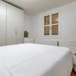 Ottonelli Street Stay- Wifi Fibra Free Tra Storchi & Centro Storico 公寓 摩德纳