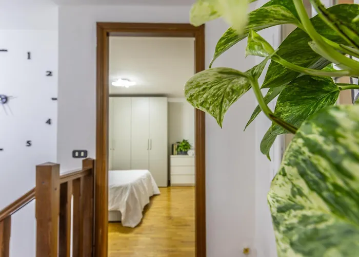 Ottonelli Street Stay- Wifi Fibra Free Tra Storchi & Centro Storico Modena